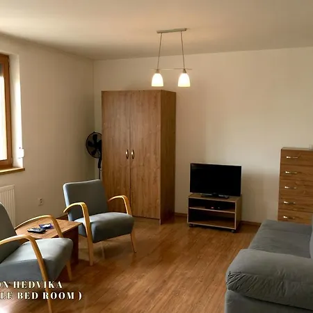 Guest house Hedvika 3*