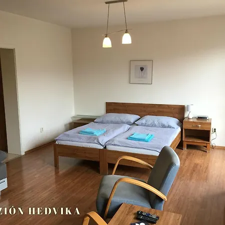 Hedvika Guest house 3*